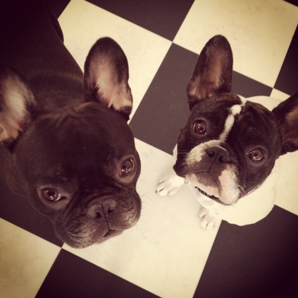 **MEET THE POSHER** - Picture 5 of 5